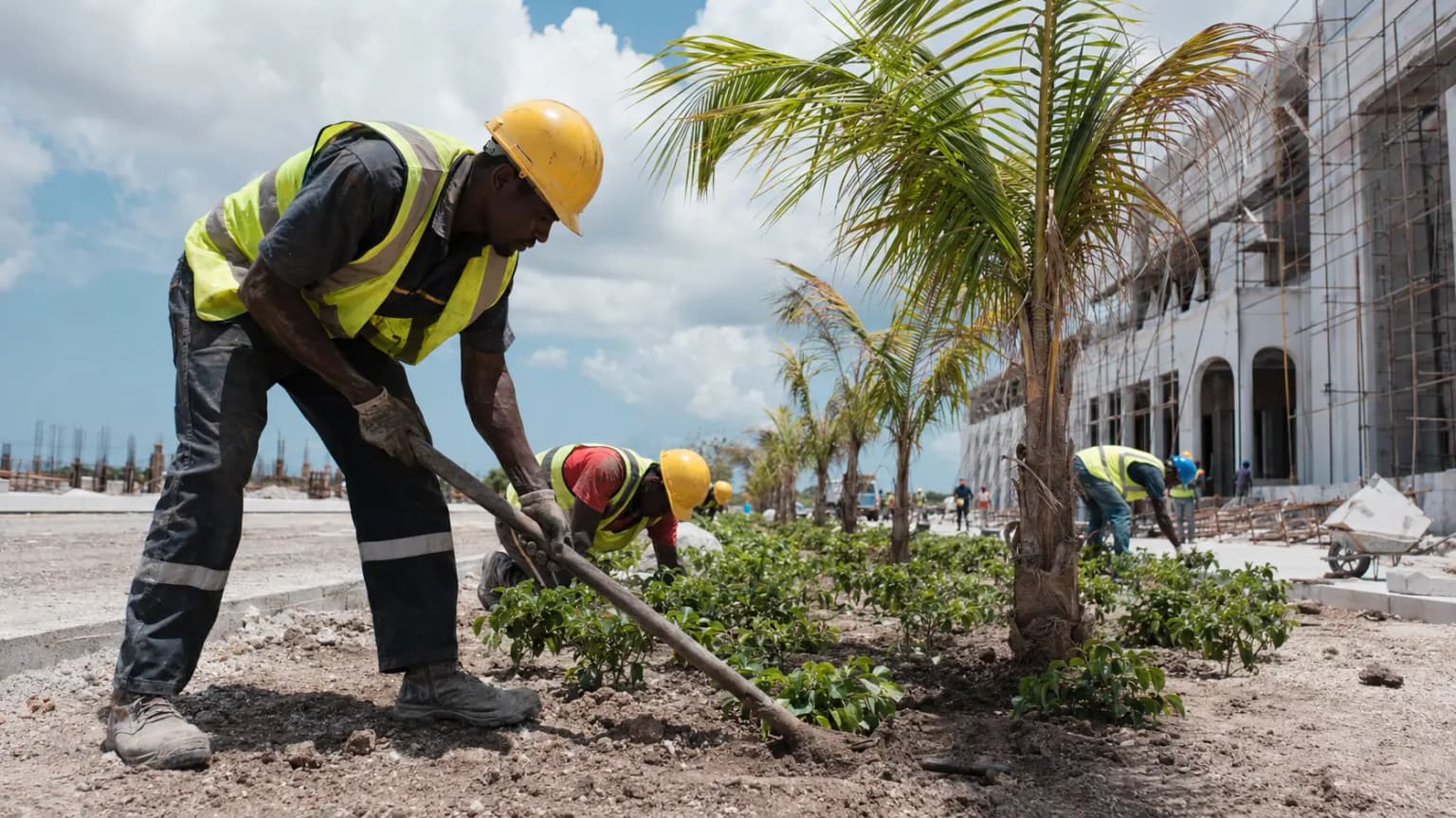 Landscaping Services Zanzibar — premium landscaping services in Zanzibar by Zanzibaba Project Solutions